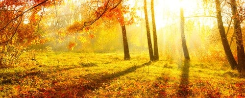 Fall Writing Prompts for Kids